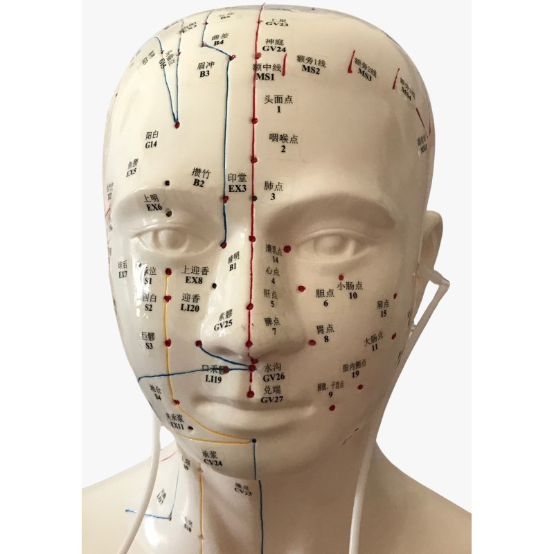 Silicone ear cannula for hydrogen administration, with filter
